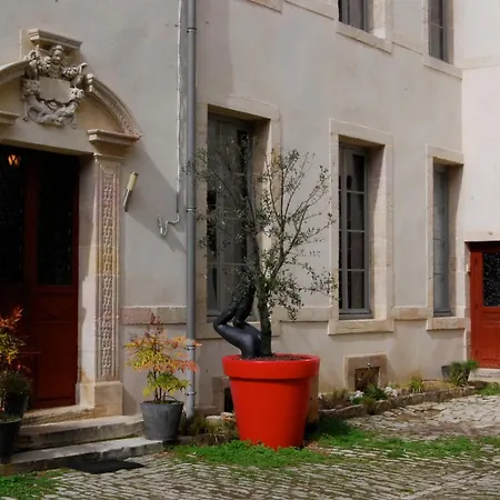 Authentic Flat In Digione
