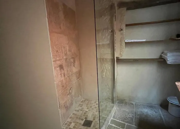 Authentic Flat In Digione