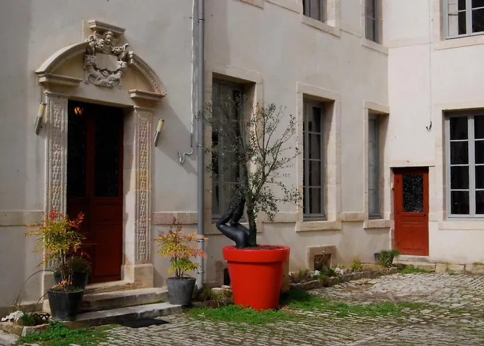 Authentic Flat In Digione